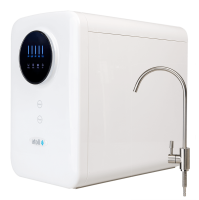 atoll A-5500mp STD (Cruise)