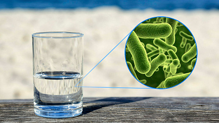 Полезная информация