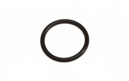 Уплотнительное кольцо  FRP 4040 (end port 10055) 1