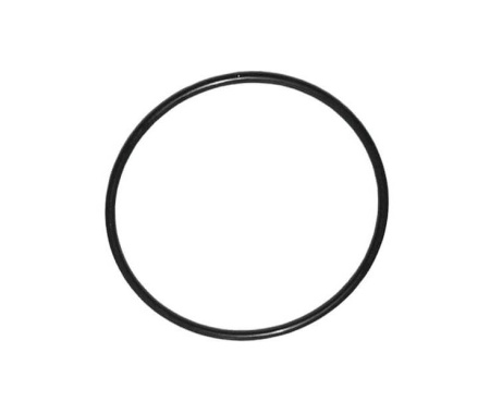 Уплотнительное кольцо FRP 4040 (end port 19 2,65)