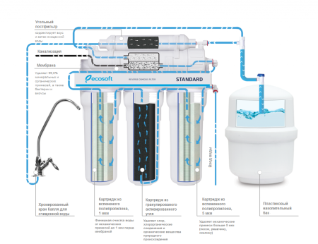 content_img content_img